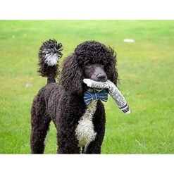Pet Qwerks Krinkle & Squeak Newspaper Stuffing-Free Plush Dog Toy -Pet Toys Shop 102271 PT3. AC SS1800 V1589901429