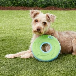 Chuckit! Zipflight Disc Dog Toy, Color Varies & Chuckit! Paraflight Dog Toy -Pet Toys Shop 1030662 PT4. AC SS1800 V1702598511