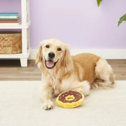 ZippyPaws Donutz Squeaky Plush No Stuffing Dog Toy 13 ZippyPaws Donutz Squeaky Plush No Stuffing Dog Toy -Pet Toys Shop 104035 PT7. AC SS1800 V1523637318