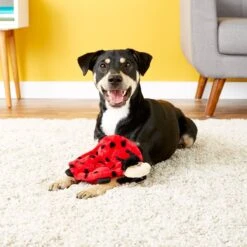 ZippyPaws Squeakie Crawler Betsey The Ladybug Dog Toy -Pet Toys Shop 104056 PT7. AC SS1800 V1530190595