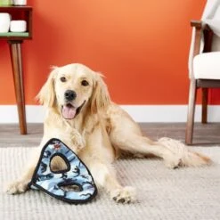 Tuffy's Ultimate 4-Way Ring Squeaky Plush Dog Toy 10 Tuffy's Ultimate 4-Way Ring Squeaky Plush Dog Toy -Pet Toys Shop 104662 PT3. AC SS1800 V1589561806