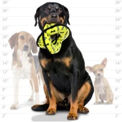 Tuffy's Ultimate 4-Way Ring Squeaky Plush Dog Toy 11 Tuffy's Ultimate 4-Way Ring Squeaky Plush Dog Toy -Pet Toys Shop 104662 PT4. AC SS1800 V1589561807