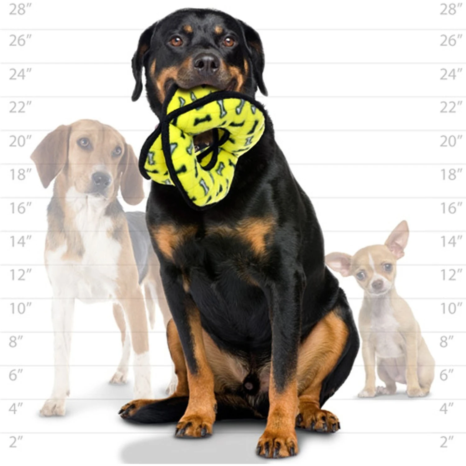 Tuffy's Ultimate 4-Way Ring Squeaky Plush Dog Toy 5 Tuffy's Ultimate 4-Way Ring Squeaky Plush Dog Toy - Image 5