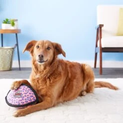 Tuffy's Ultimate Odd Ball Plush Dog Toy 12 Tuffy's Ultimate Odd Ball Plush Dog Toy -Pet Toys Shop 104666 PT3. AC SS1800 V1589561845