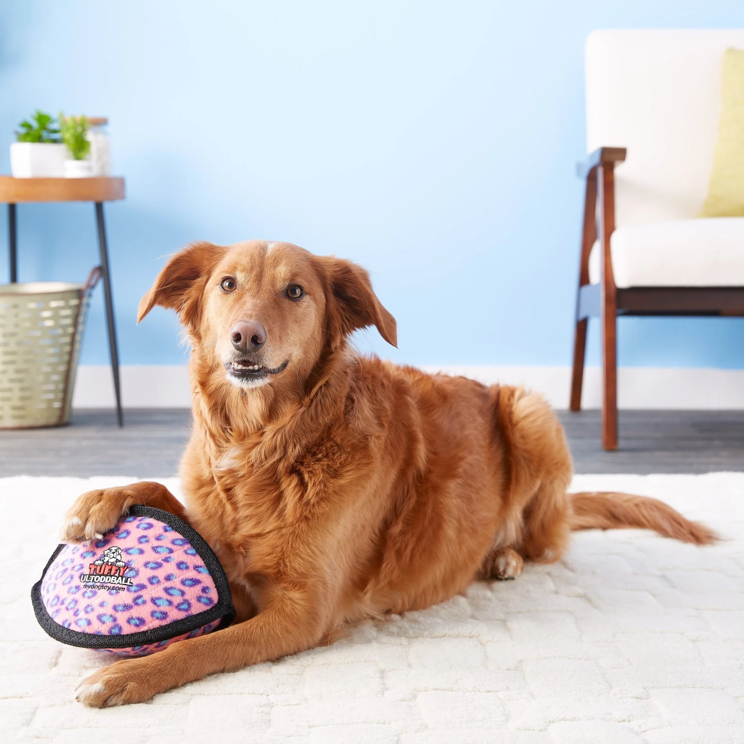 Tuffy's Ultimate Odd Ball Plush Dog Toy 4 Tuffy's Ultimate Odd Ball Plush Dog Toy - Image 4