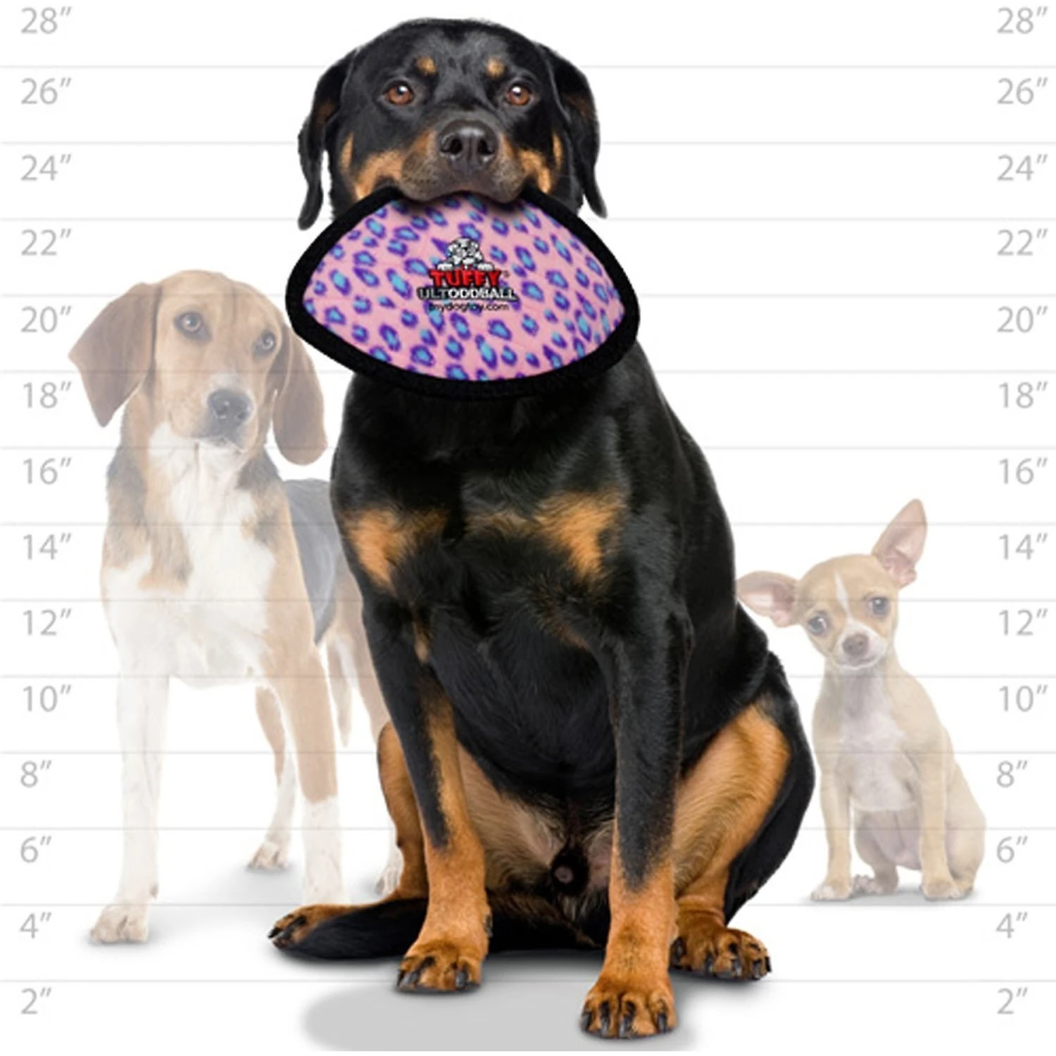 Tuffy's Ultimate Odd Ball Plush Dog Toy 5 Tuffy's Ultimate Odd Ball Plush Dog Toy - Image 5