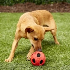 Nerf Dog Squeaker Ball Dog Toy -Pet Toys Shop 106695 PT3. AC SS1800 V1545242917