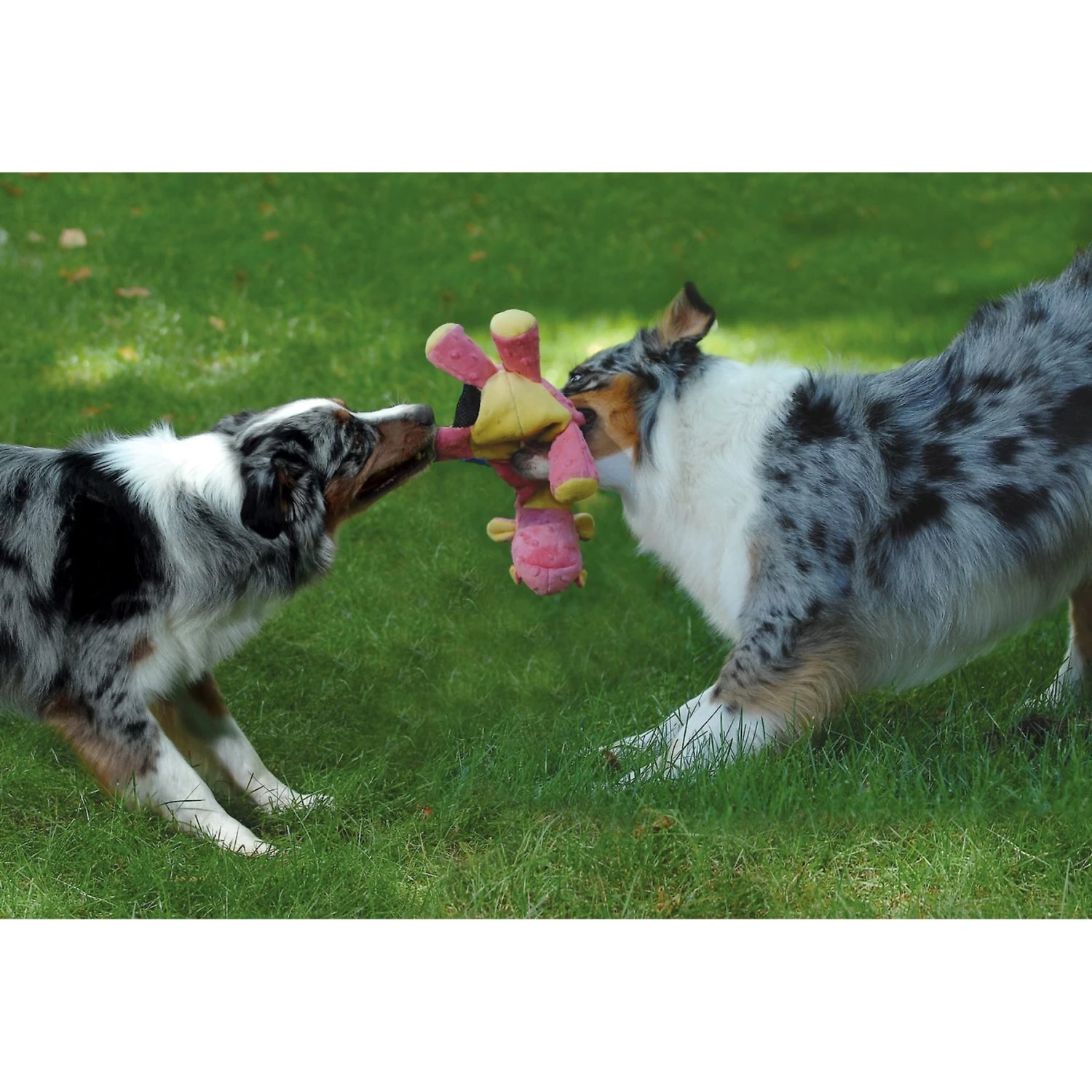 GoDog Dragons Chew Guard Squeaky Plush Dog Toy 2 GoDog Dragons Chew Guard Squeaky Plush Dog Toy - Image 2