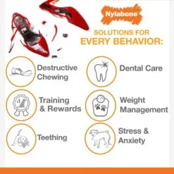 Nylabone Flavor Frenzy Power Chew Triple Pack Pancakes & Sausage -Pet Toys Shop 110389 PT8. AC SS1800 V1595345758