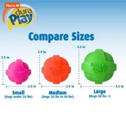 Hartz Dura Play Ball Squeaky Latex Dog Toy, Color Varies -Pet Toys Shop 113807 PT2. AC SS1800 V1660340091