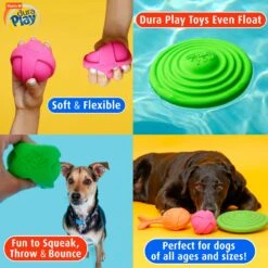 Hartz Dura Play Ball Squeaky Latex Dog Toy, Color Varies -Pet Toys Shop 113807 PT5. AC SS1800 V1660340456