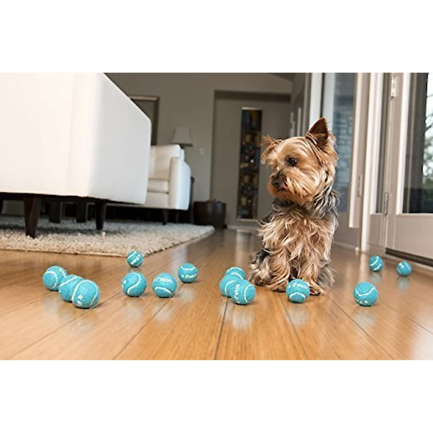 IFetch Mini Automatic Ball Launcher Dog Toy 5 IFetch Mini Automatic Ball Launcher Dog Toy - Image 5