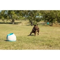 IFetch Too Automatic Ball Launcher Dog Toy 11 IFetch Too Automatic Ball Launcher Dog Toy -Pet Toys Shop 115173 PT5. AC SS1800 V1490133473