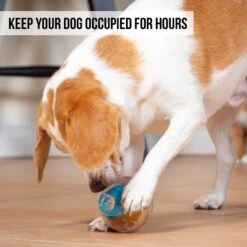 Pet Zone IQ Treat Dispenser Ball Dog Toy 10 Pet Zone IQ Treat Dispenser Ball Dog Toy -Pet Toys Shop 115632 Pt3. AC SS1800 V1583771890