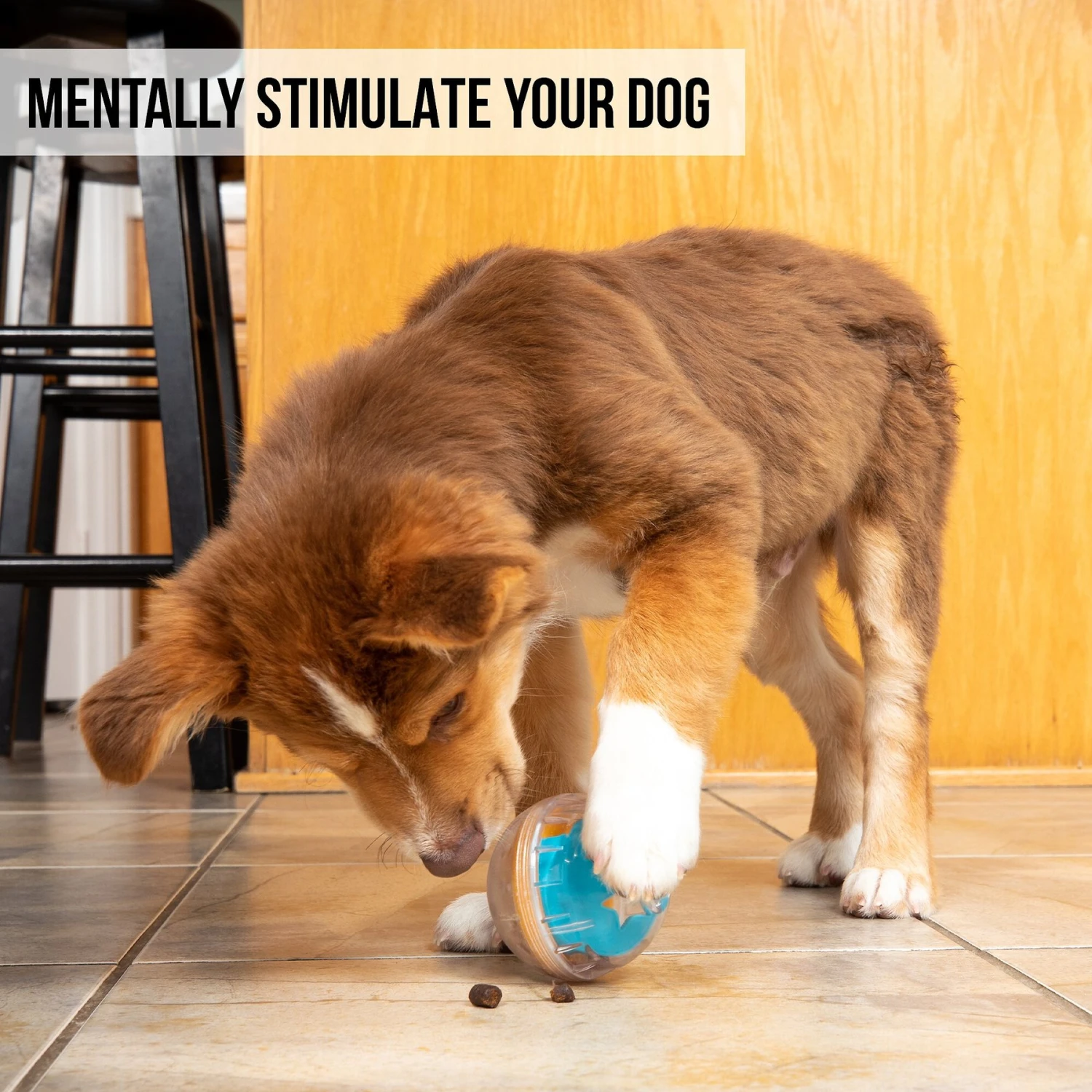 Pet Zone IQ Treat Dispenser Ball Dog Toy 6 Pet Zone IQ Treat Dispenser Ball Dog Toy - Image 6