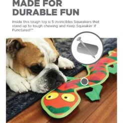 Outward Hound Fire Biterz Exotic Lizard Squeaky Dog Toy -Pet Toys Shop 116303 PT3. AC SS1800 V1636506678