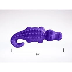 ARM & HAMMER PRODUCTS Ora Play Denta-Saurus Mint Tough Dog Chew Toy -Pet Toys Shop 118071 PT3. AC SS1800 V1492197645