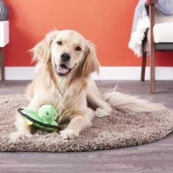 ZippyPaws Floaterz Turtle Dog Toy -Pet Toys Shop 118640 PT4. AC SS1800 V1531242168