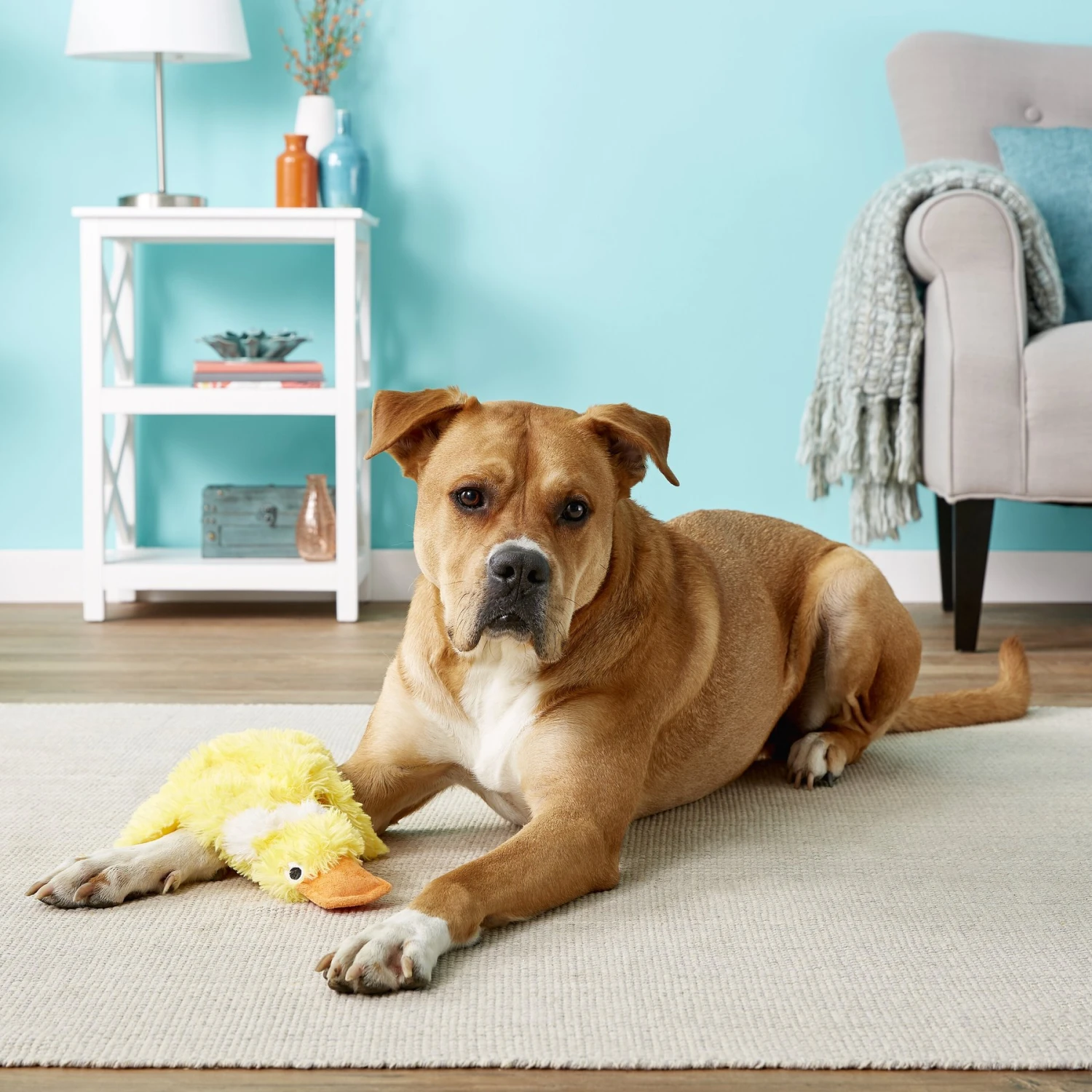 Doggles Plush Bottle Duck Dog Toy 2 Doggles Plush Bottle Duck Dog Toy - Image 2