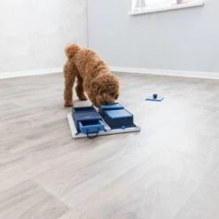 TRIXIE Activity Poker Box Activity Strategy Game Dog Toy, Level 2 -Pet Toys Shop 118931 PT2. AC SS1800 V1686328989