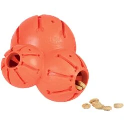 PetSafe Busy Buddy Barnacle Treat Dispenser Dog Toy -Pet Toys Shop 121351 PT2. AC SS1800 V1496245904