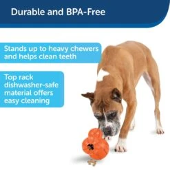 PetSafe Busy Buddy Barnacle Treat Dispenser Dog Toy -Pet Toys Shop 121351 PT5. AC SS1800 V1599830754