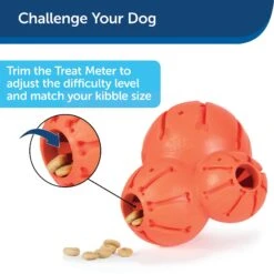 PetSafe Busy Buddy Barnacle Treat Dispenser Dog Toy -Pet Toys Shop 121351 PT7. AC SS1800 V1599830757