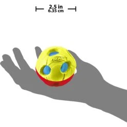 Nerf Dog Light Up Bash Ball Dog Toy -Pet Toys Shop 121862 PT2. AC SS1800 V1493316682