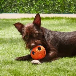 Nerf Dog Light Up Bash Ball Dog Toy, Medium -Pet Toys Shop 121864 PT5. AC SS1800 V1531558325