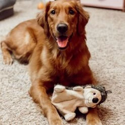 Snuggle Puppy Tender Tuff Hedgehog Squeaky Plush Dog Toy -Pet Toys Shop 124236 PT4. AC SS1800 V1667518161