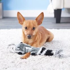 Ethical Pet Mini Skinneeez Tugs Raccoon Stuffing-Free Squeaky Plush Dog Toy -Pet Toys Shop 129145 PT7. AC SS1800 V1527092821