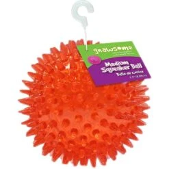 Gnawsome Squeaker Ball Dog Toy, Color Varies