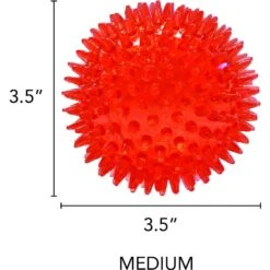 Gnawsome Squeaker Ball Dog Toy, Color Varies -Pet Toys Shop 129744 PT7. AC SS1800 V1534452849