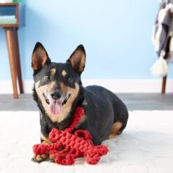 Jax And Bones Louie The Lobster Rope Dog Toy -Pet Toys Shop 133584 PT7. AC SS1800 V1523638240