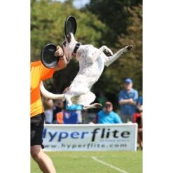 Hyperflite Jawz Disc -Pet Toys Shop 140803 PT6. AC SS1800 V1523642994