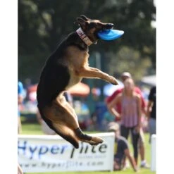 Hyperflite Jawz Disc -Pet Toys Shop 140803 PT7. AC SS1800 V1523643106