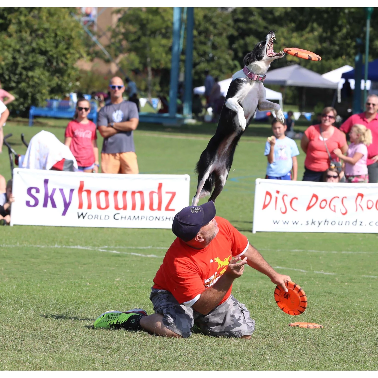 Hyperflite Jawz X-Comp Disc, Orange 4 Hyperflite Jawz X-Comp Disc, Orange - Image 4