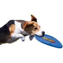 Nerf Dog Nylon Flyer Dog Toy 8 Nerf Dog Nylon Flyer Dog Toy -Pet Toys Shop 142892 PT3. AC SS1800 V1517611837