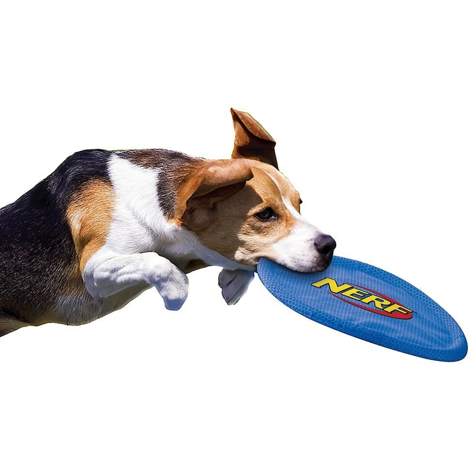 Nerf Dog Nylon Flyer Dog Toy 4 Nerf Dog Nylon Flyer Dog Toy - Image 4