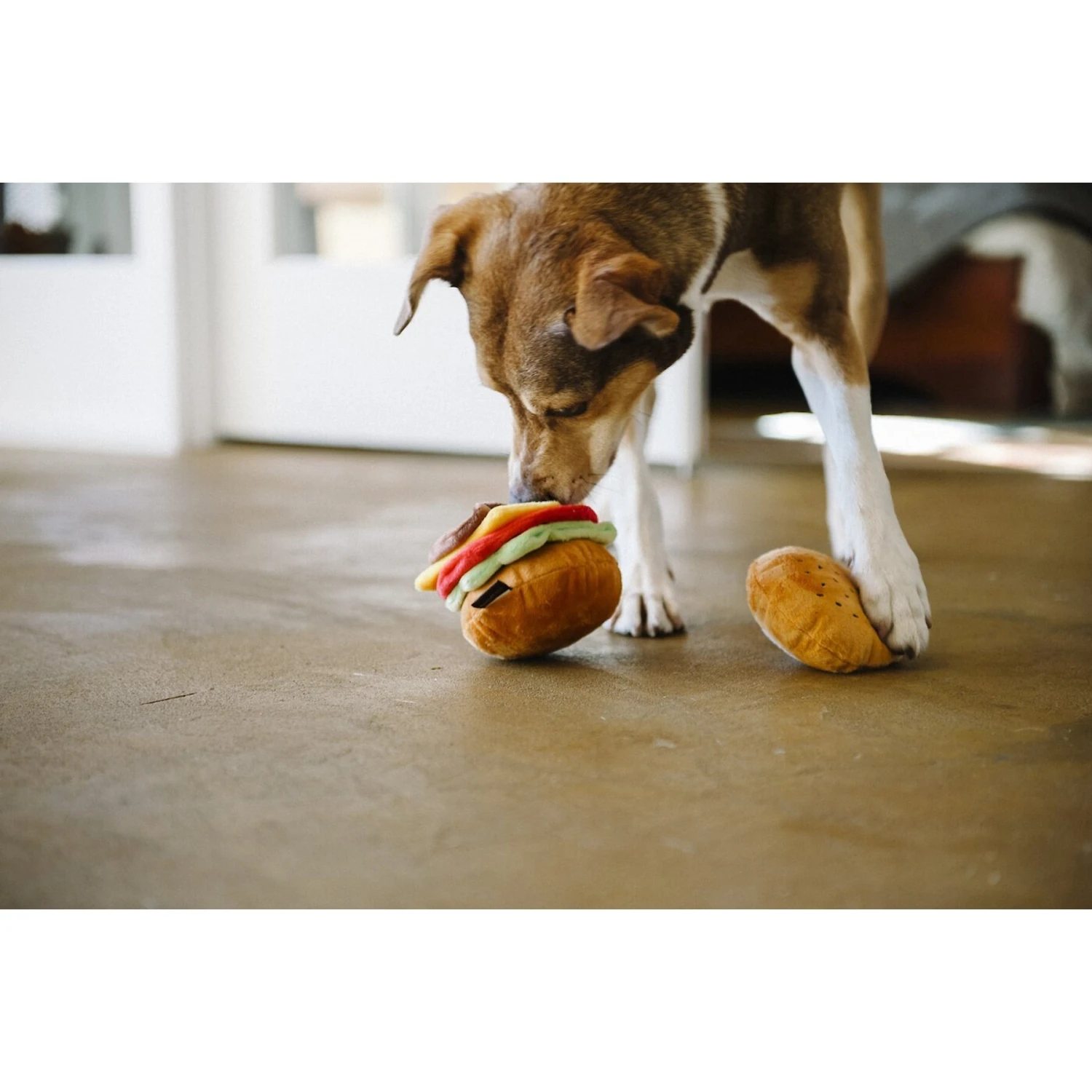 P.L.A.Y. Pet Lifestyle And You American Classic Food Burger Squeaky Plush Dog Toy 6 P.L.A.Y. Pet Lifestyle And You American Classic Food Burger Squeaky Plush Dog Toy - Image 6
