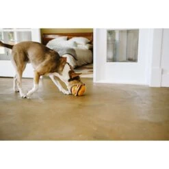 P.L.A.Y. Pet Lifestyle And You American Classic Food Burger Squeaky Plush Dog Toy 15 P.L.A.Y. Pet Lifestyle And You American Classic Food Burger Squeaky Plush Dog Toy -Pet Toys Shop 142903 PT6. AC SS1800 V1517863270
