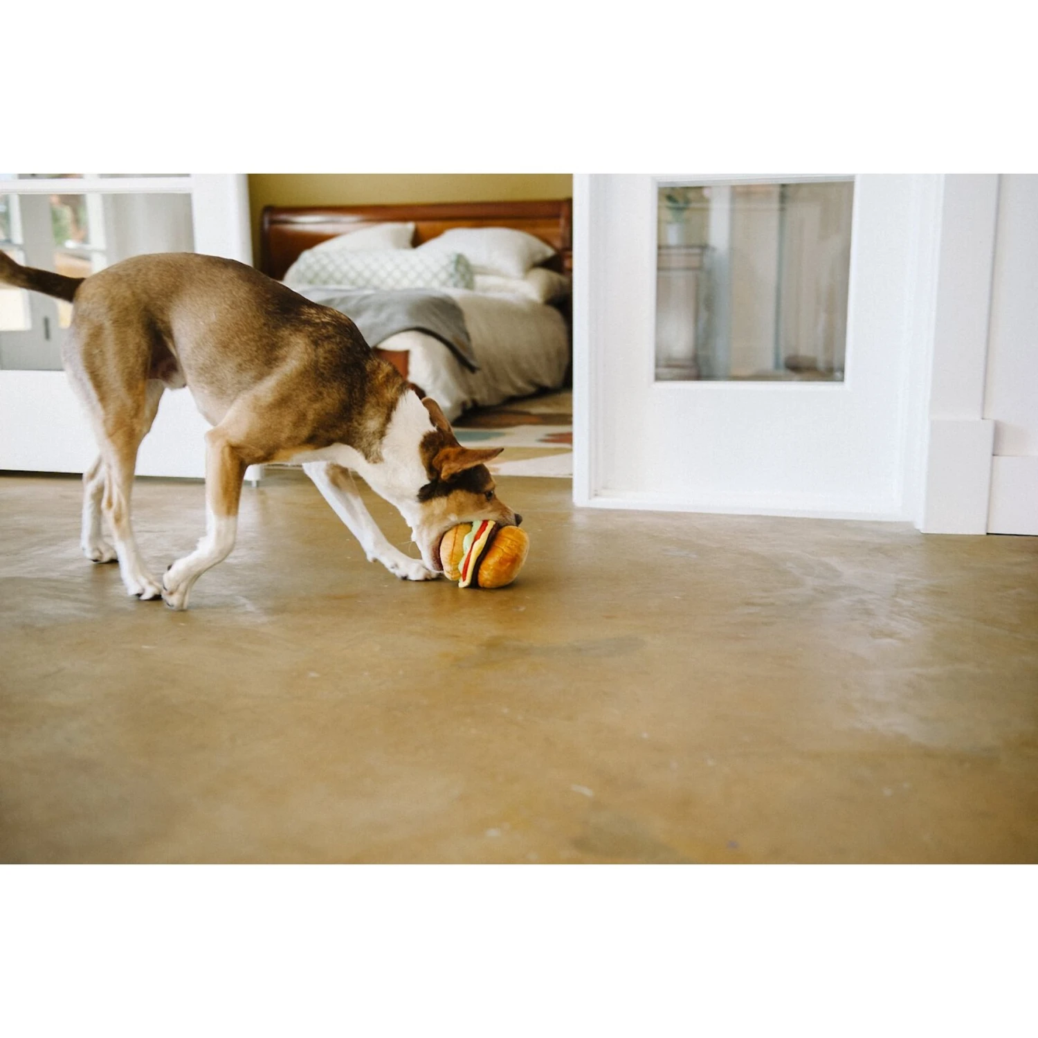 P.L.A.Y. Pet Lifestyle And You American Classic Food Burger Squeaky Plush Dog Toy 7 P.L.A.Y. Pet Lifestyle And You American Classic Food Burger Squeaky Plush Dog Toy - Image 7