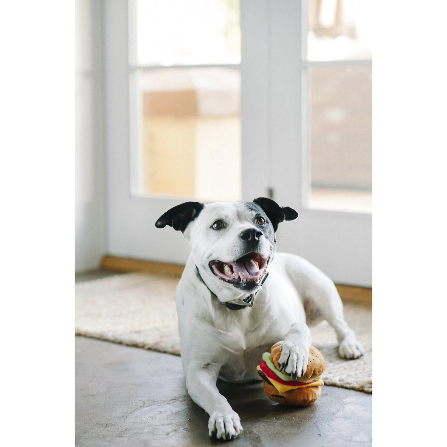 P.L.A.Y. Pet Lifestyle And You American Classic Food Burger Squeaky Plush Dog Toy 8 P.L.A.Y. Pet Lifestyle And You American Classic Food Burger Squeaky Plush Dog Toy - Image 8