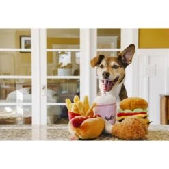 P.L.A.Y. Pet Lifestyle And You American Classic Food Burger Squeaky Plush Dog Toy 17 P.L.A.Y. Pet Lifestyle And You American Classic Food Burger Squeaky Plush Dog Toy -Pet Toys Shop 142903 PT8. AC SS1800 V1517863281