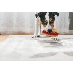 P.L.A.Y. Pet Lifestyle And You American Classic Food Hot Dog Squeaky Plush Dog Toy 8 P.L.A.Y. Pet Lifestyle And You American Classic Food Hot Dog Squeaky Plush Dog Toy -Pet Toys Shop 142911 PT4. AC SS1800 V1517863619