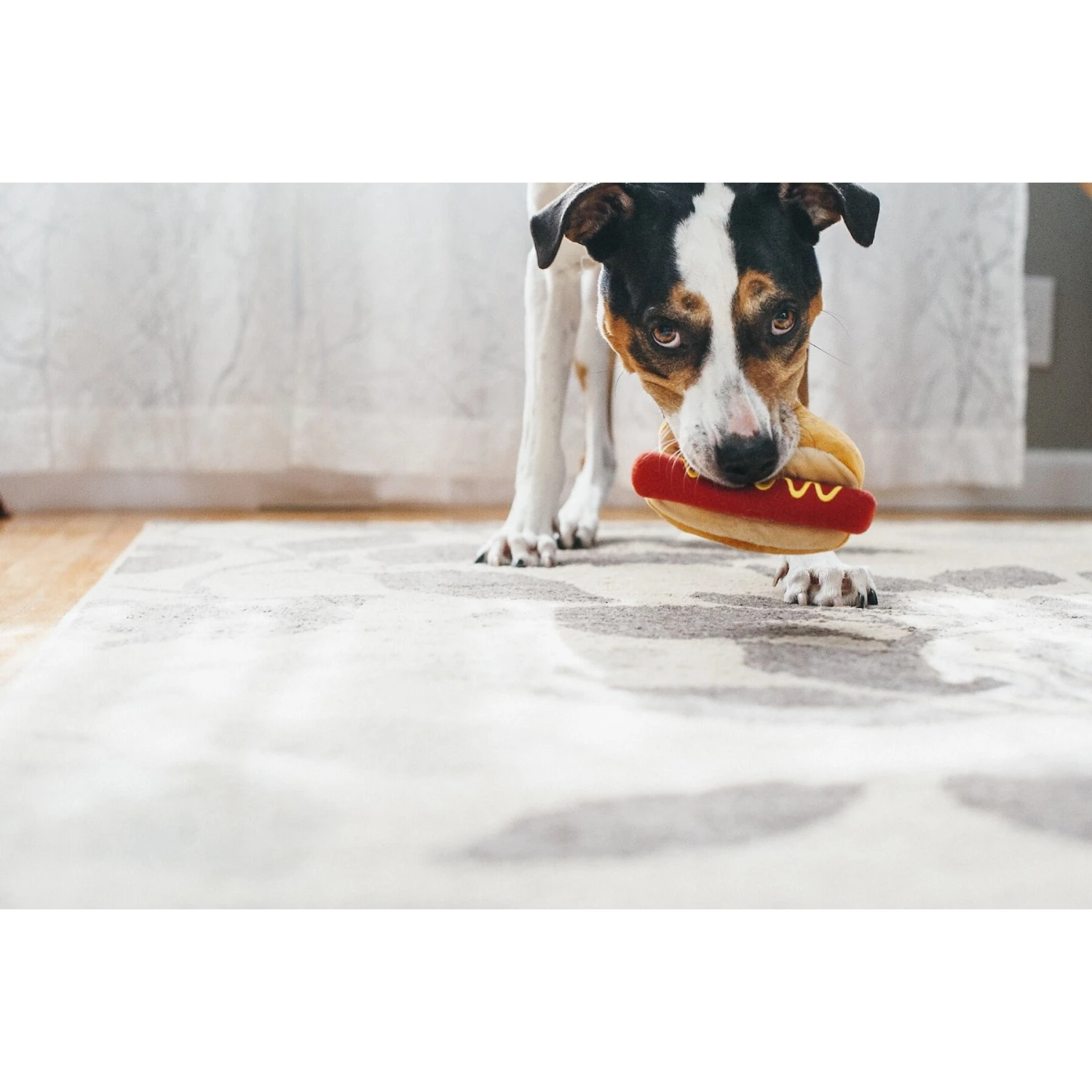 P.L.A.Y. Pet Lifestyle And You American Classic Food Hot Dog Squeaky Plush Dog Toy 4 P.L.A.Y. Pet Lifestyle And You American Classic Food Hot Dog Squeaky Plush Dog Toy - Image 4