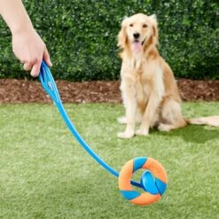Chuckit! Ultra Ring Launcher Fetch Dog Toy -Pet Toys Shop 145393 PT2. AC SS1800 V1550270847