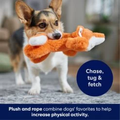 Frisco Fox Plush With Inside Rope Squeaky Dog Toy -Pet Toys Shop 147065 PT4. AC SS1800 V1695671059
