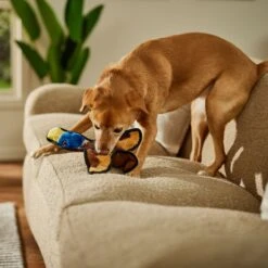 Frisco Duck Flat Plush Squeaky Dog Toy -Pet Toys Shop 147069 PT3. AC SS1800 V1674158058