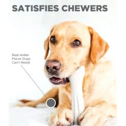 Petstages Deerhorn Tough Dog Chew Toy 9 Petstages Deerhorn Tough Dog Chew Toy -Pet Toys Shop 148094 PT2. AC SS1800 V1631688714